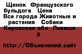 Щенок  Французского бульдога › Цена ­ 35 000 - Все города Животные и растения » Собаки   . Кировская обл.,Леваши д.